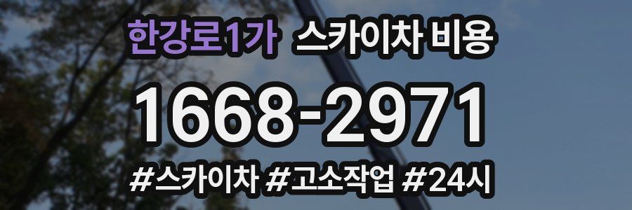 한강로1가 스카이차 비용