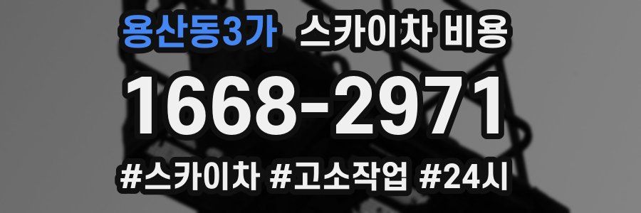 용산동3가 스카이차 비용