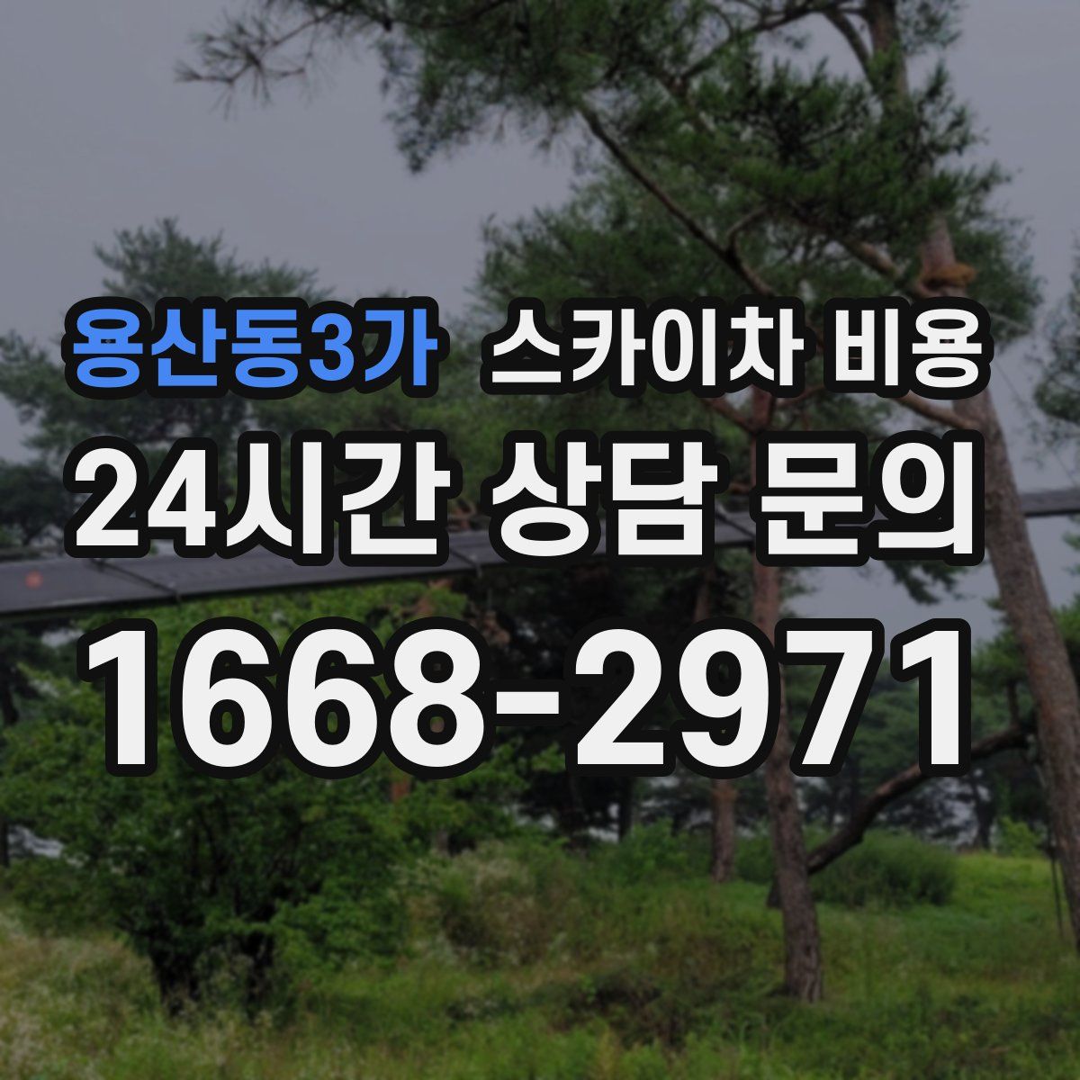 용산동3가 스카이차 비용