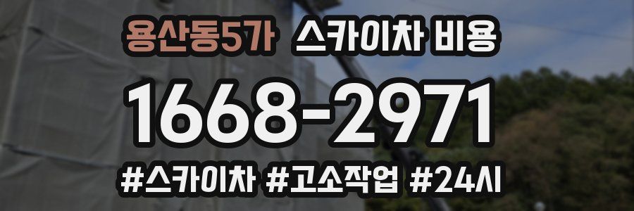 용산동5가 스카이차 비용