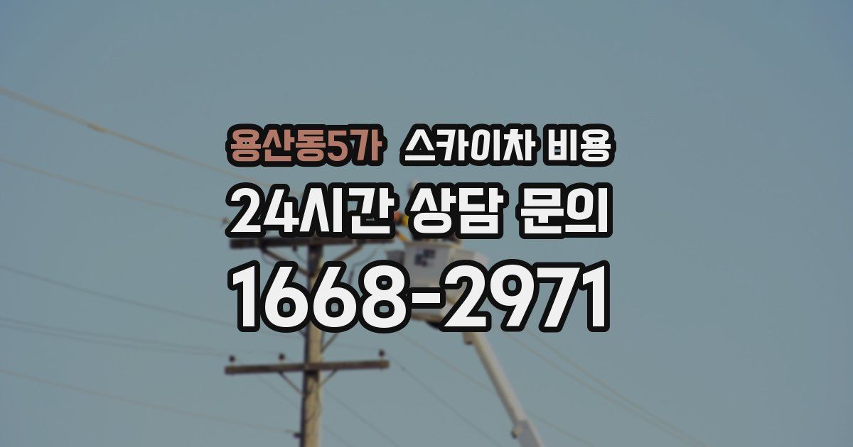 용산동5가 스카이차 비용