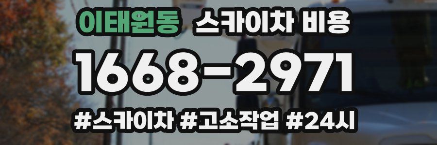 이태원동 스카이차 비용