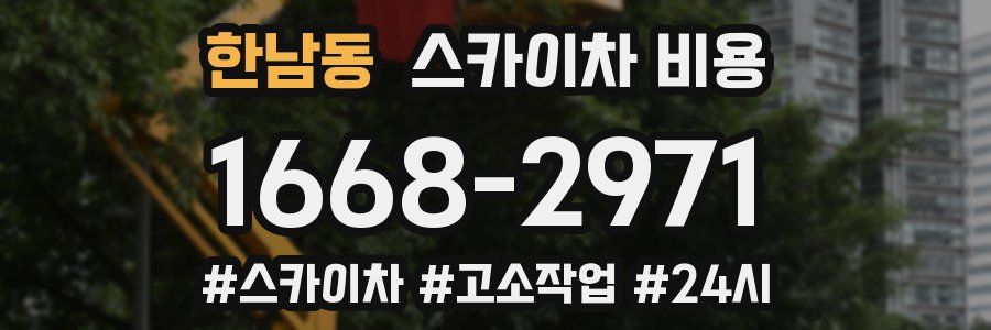 한남동 스카이차 비용