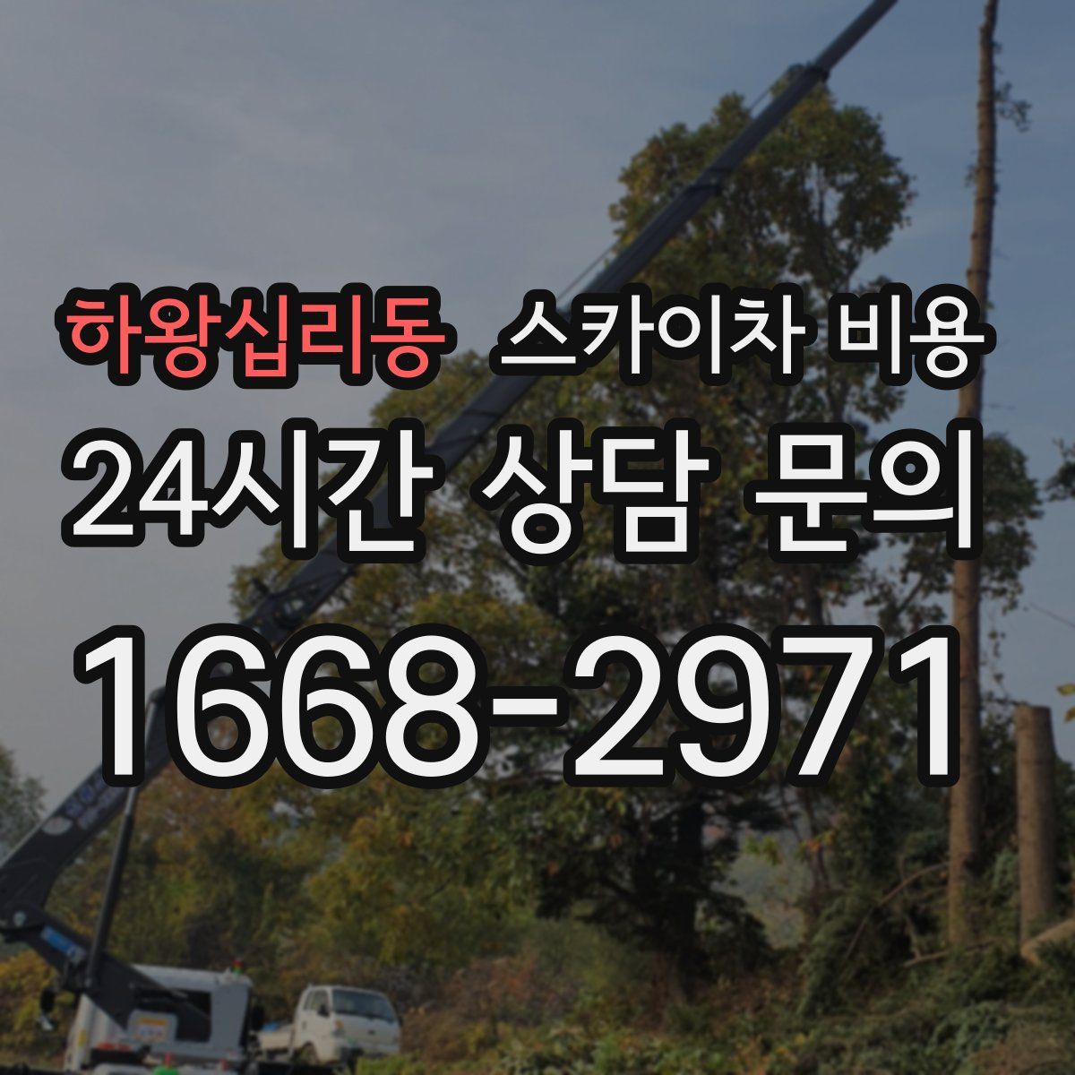 하왕십리동 스카이차 비용