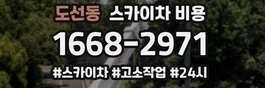 도선동 스카이차 비용