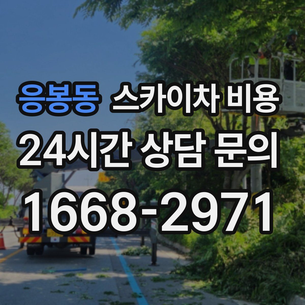 응봉동 스카이차 비용 현장 조건이 비용을 바꾸는 핵심 포인트