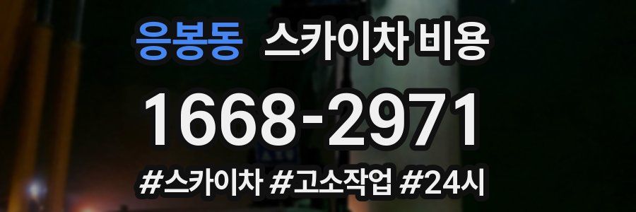 응봉동 스카이차 비용