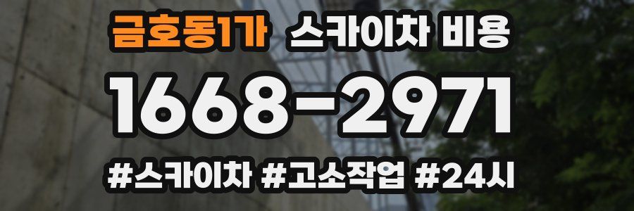 금호동1가 스카이차 비용