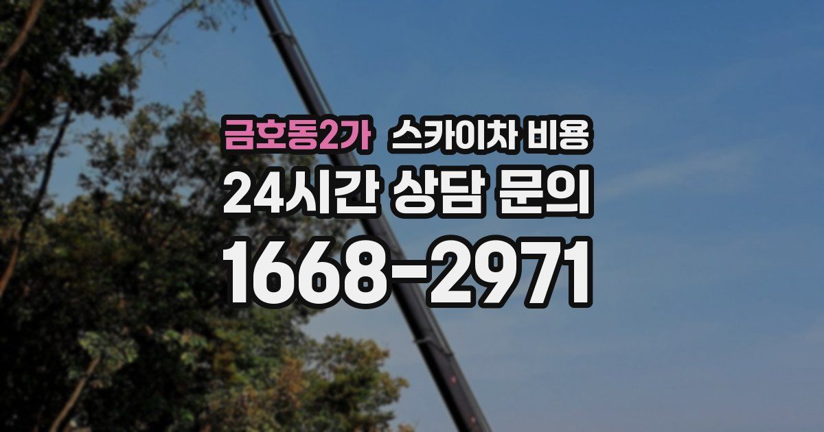 금호동2가 스카이차 비용