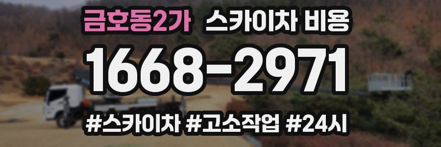 금호동2가 스카이차 비용