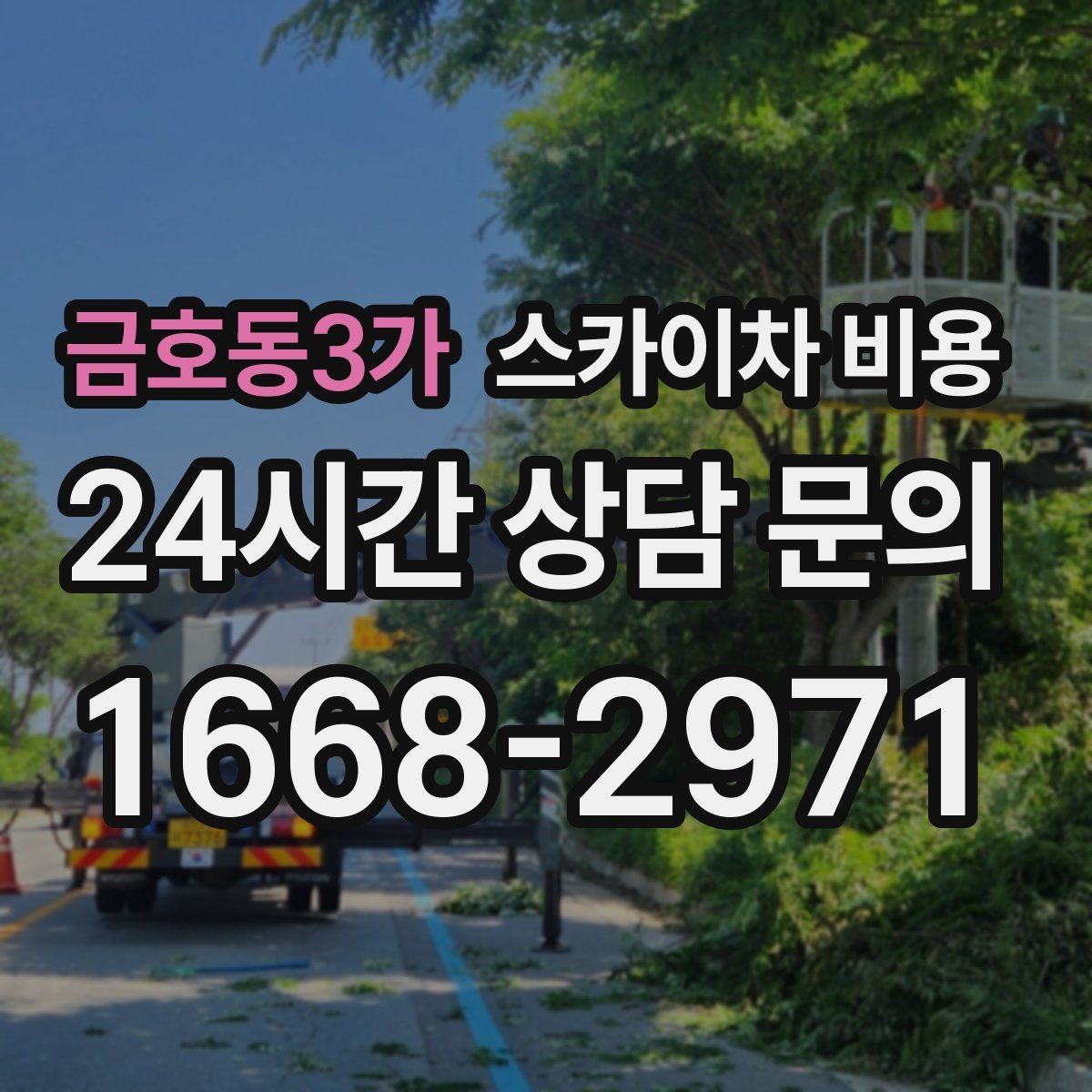 금호동3가 스카이차 비용 지면이 고르지 않으면 추가 확인이 필요한 이유