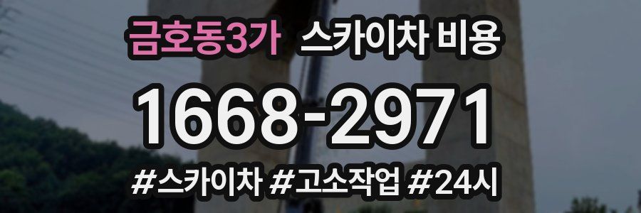 금호동3가 스카이차 비용