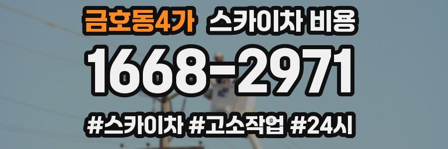 금호동4가 스카이차 비용