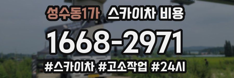 성수동1가 스카이차 비용