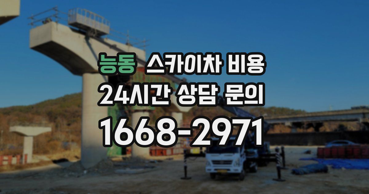 능동 스카이차 비용