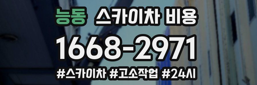 능동 스카이차 비용