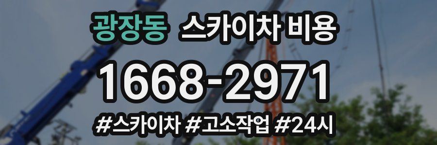 광장동 스카이차 비용