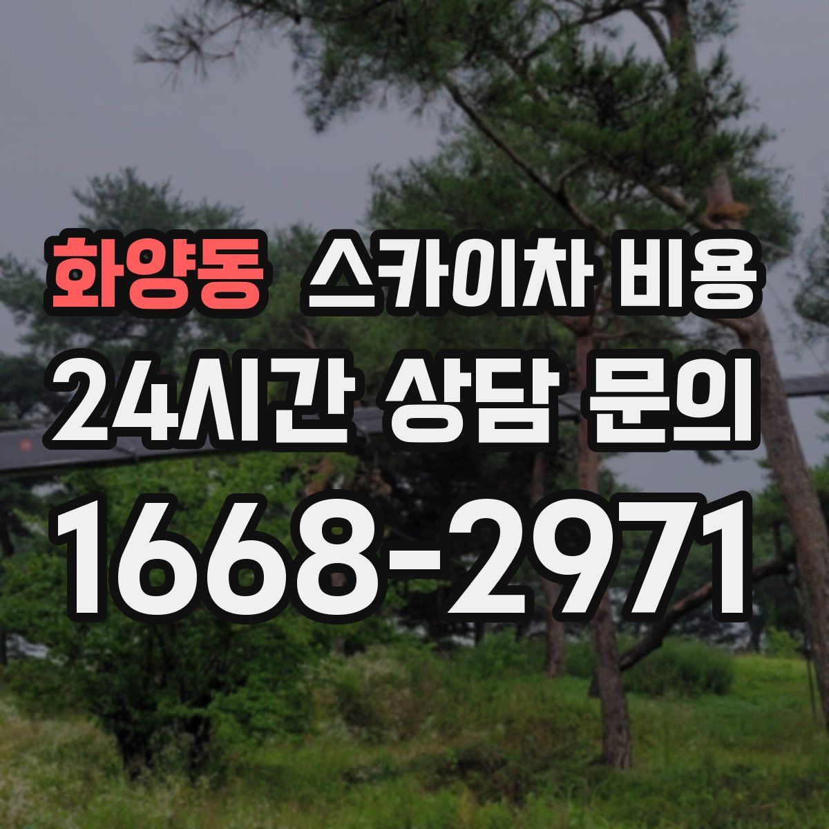 화양동 스카이차 비용