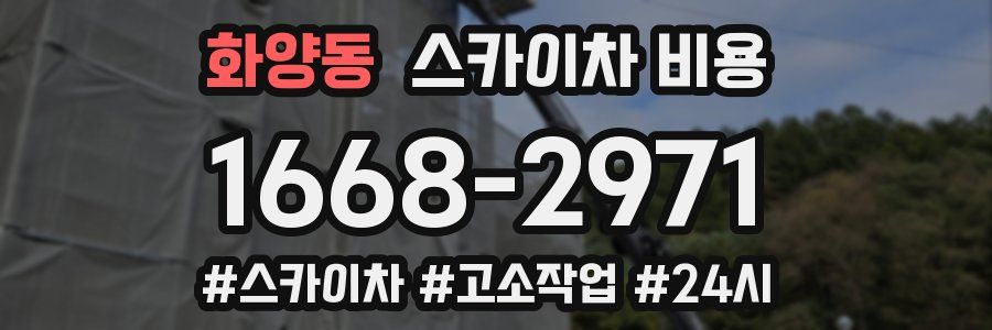 화양동 스카이차 비용