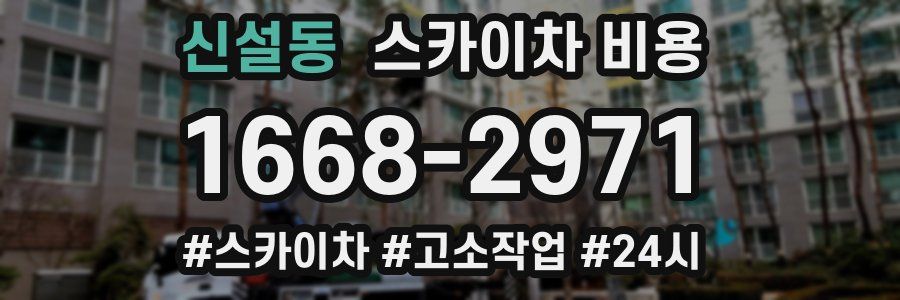 신설동 스카이차 비용