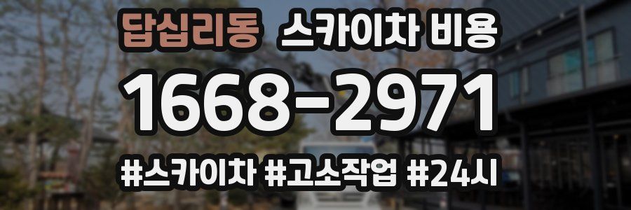 답십리동 스카이차 비용