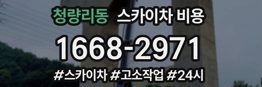 청량리동 스카이차 비용