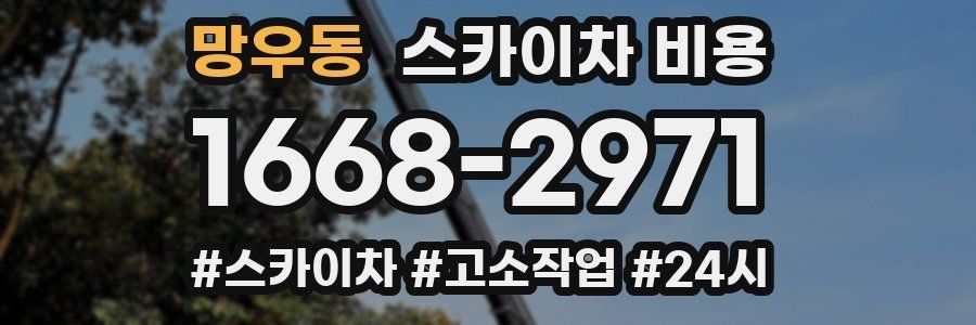 망우동 스카이차 비용