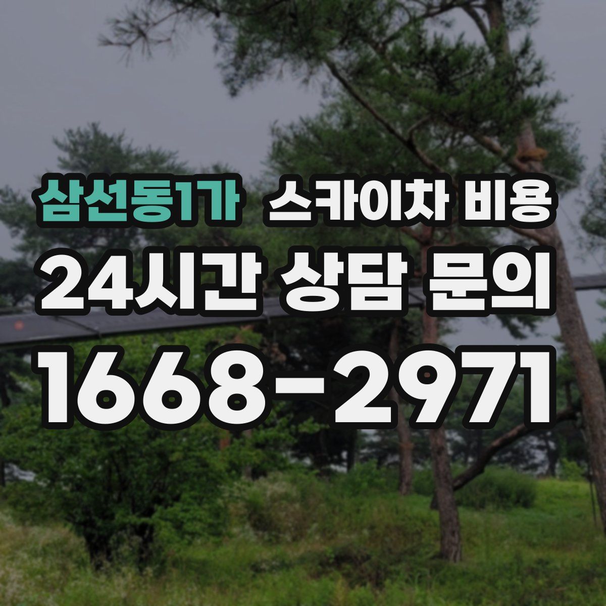 삼선동1가 스카이차 비용