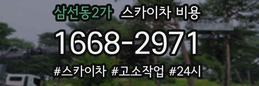 삼선동2가 스카이차 비용