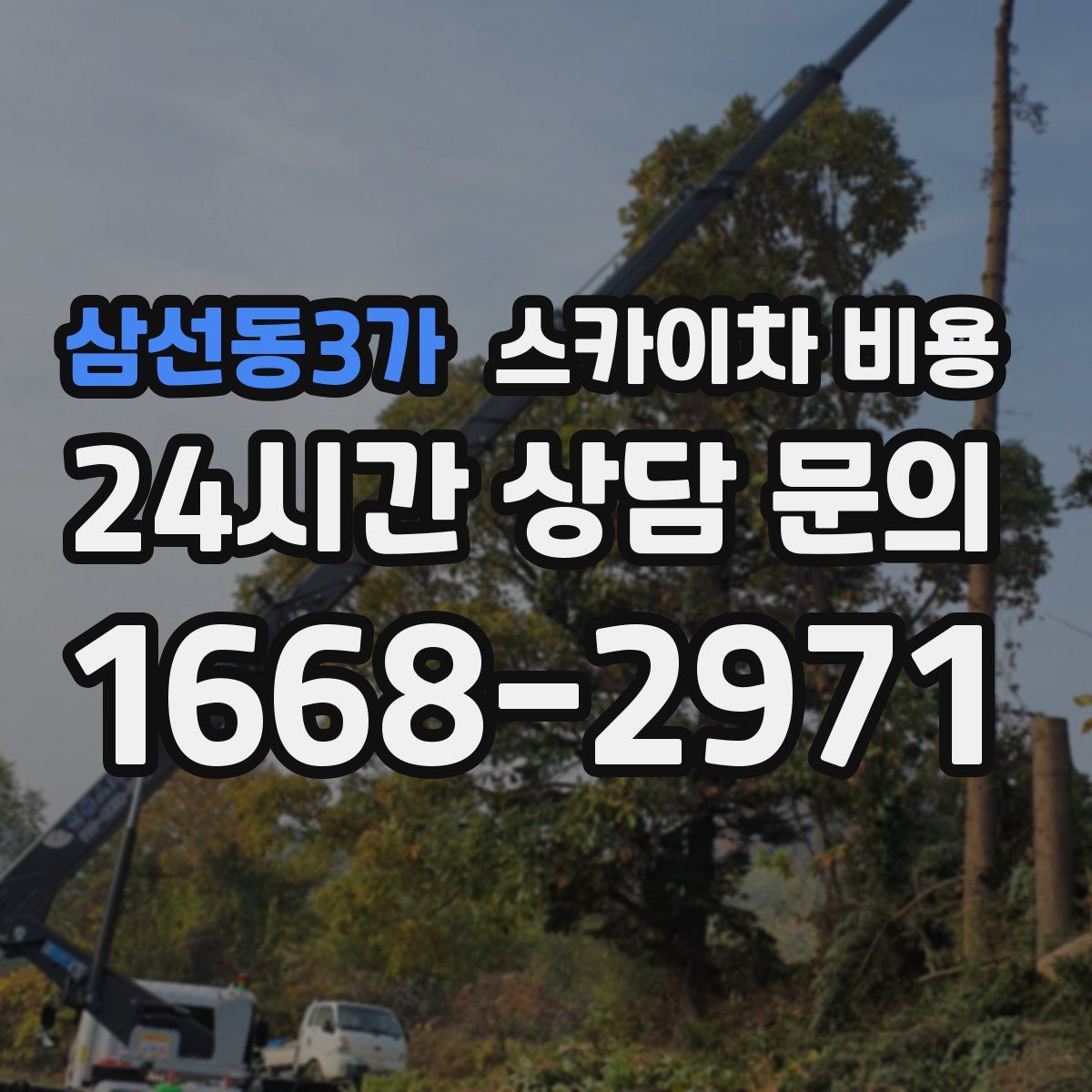 삼선동3가 스카이차 비용