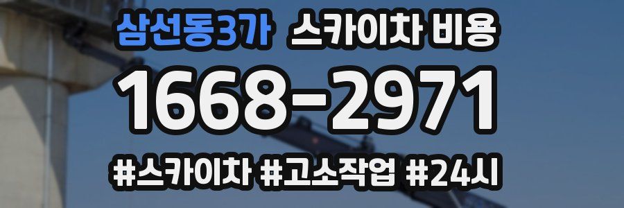 삼선동3가 스카이차 비용