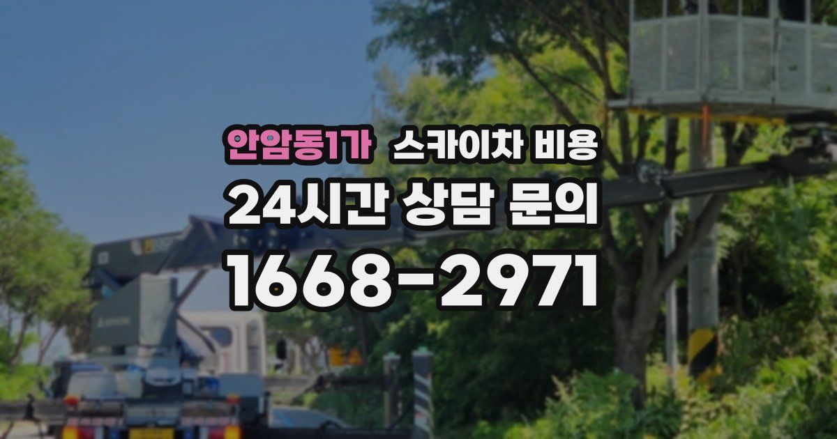 안암동1가 스카이차 비용