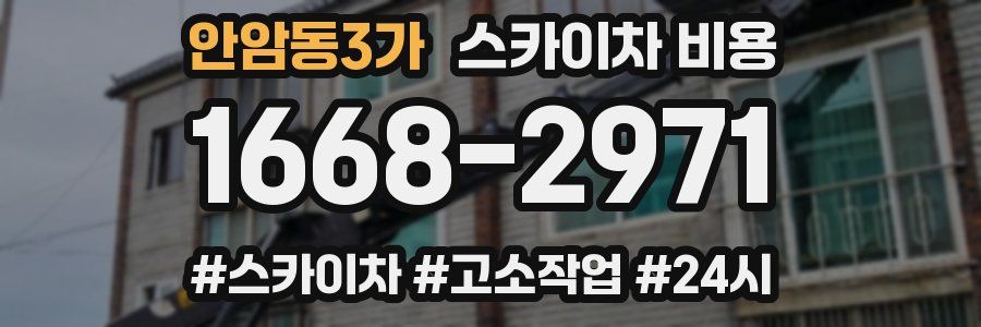 안암동3가 스카이차 비용