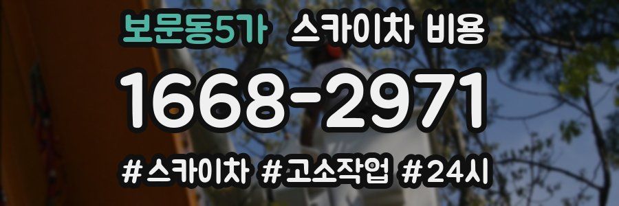 보문동5가 스카이차 비용