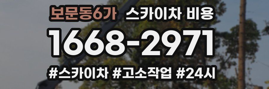 보문동6가 스카이차 비용