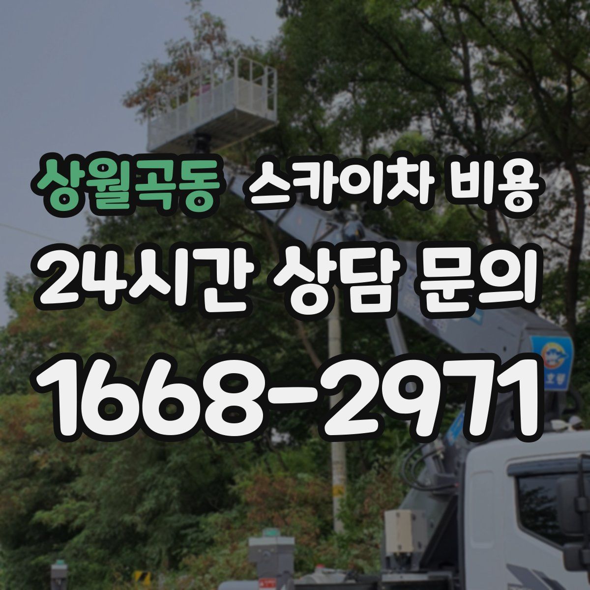 상월곡동 스카이차 비용