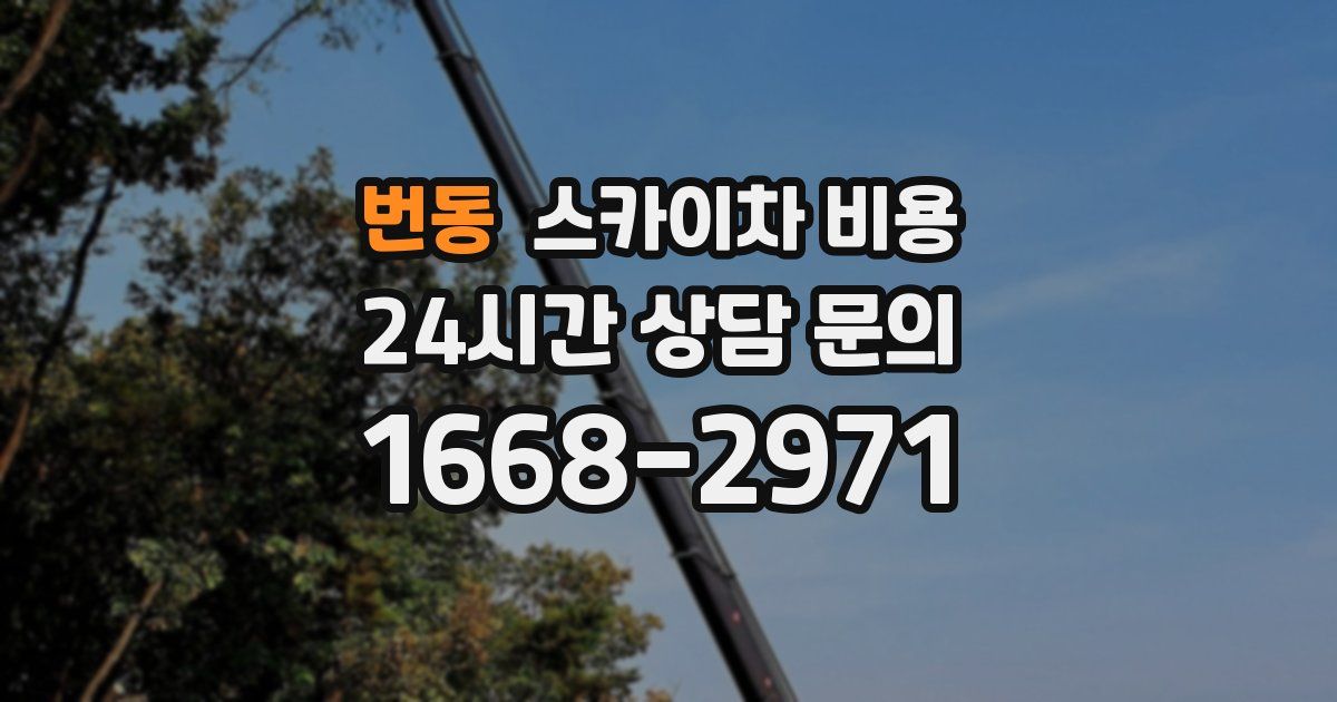 번동 스카이차 비용