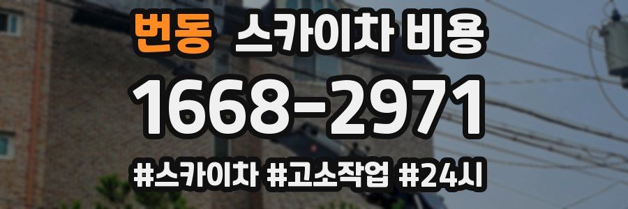 번동 스카이차 비용