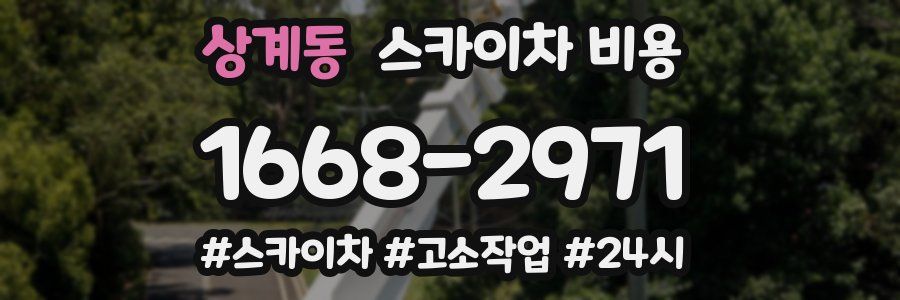 상계동 스카이차 비용