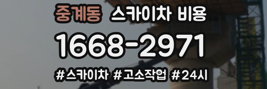 중계동 스카이차 비용