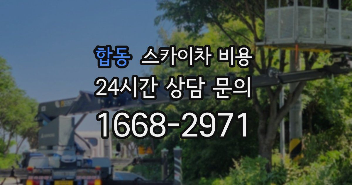 합동 스카이차 비용