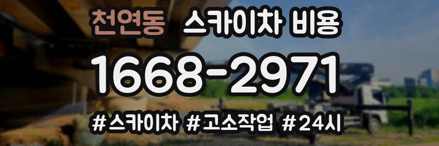 천연동 스카이차 비용