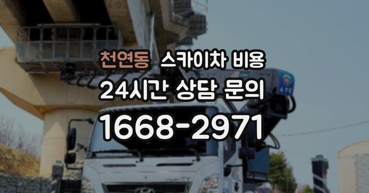 천연동 스카이차 비용