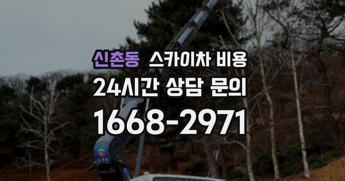 신촌동 스카이차 비용