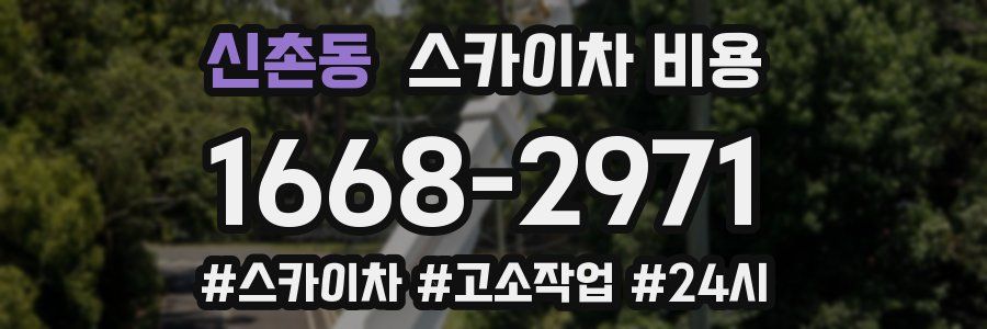 신촌동 스카이차 비용