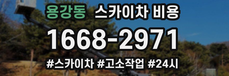 용강동 스카이차 비용