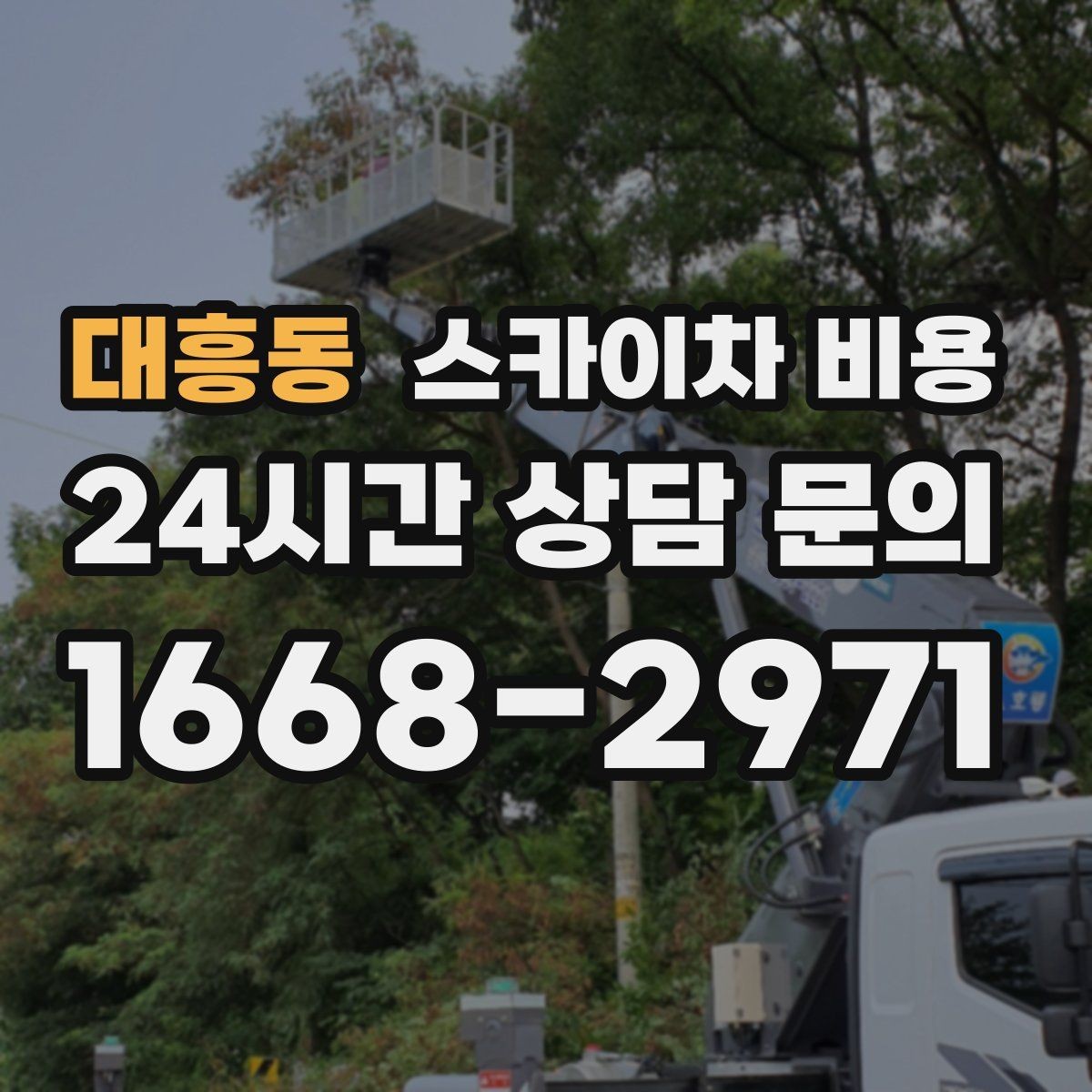 대흥동 스카이차 비용 '셋팅 후 바로 작업'이 중요한 이유