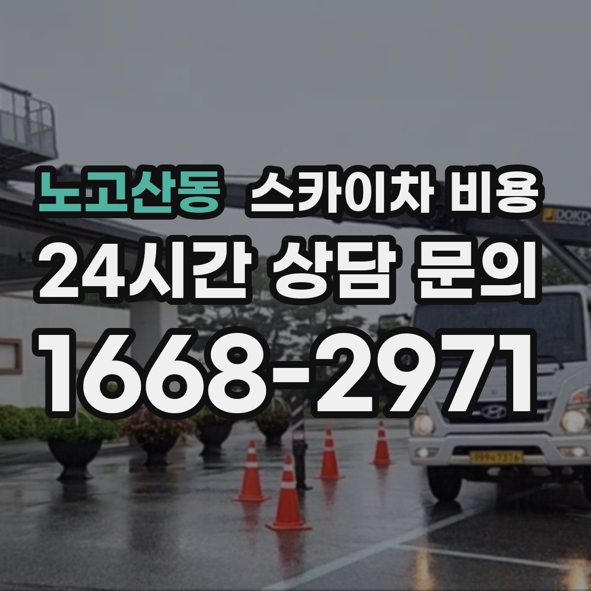 노고산동 스카이차 비용 수목 전정 작업에서 확인할 항목