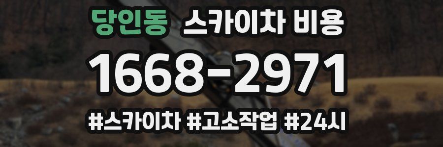 당인동 스카이차 비용