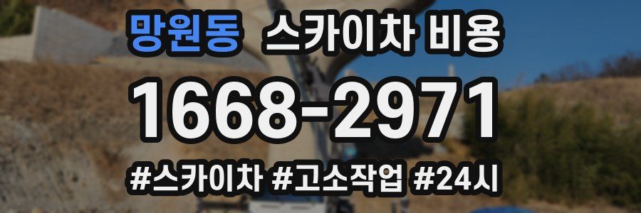 망원동 스카이차 비용